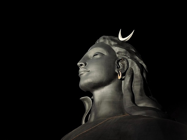Isha Yoga & Adiyogi One Day Trip