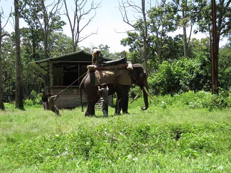 Topslip & Parambikulam Tiger Reserve